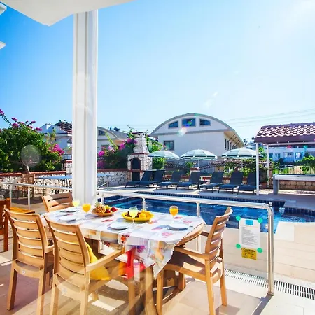 Villa 5 Star With Majestic Views Mugla 1004